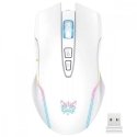 Onikuma Bevielė pelė cw905 rgb balta Onikuma Bevielė pelė cw905 rgb balta