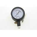 Select Quantify Analogue Gauge