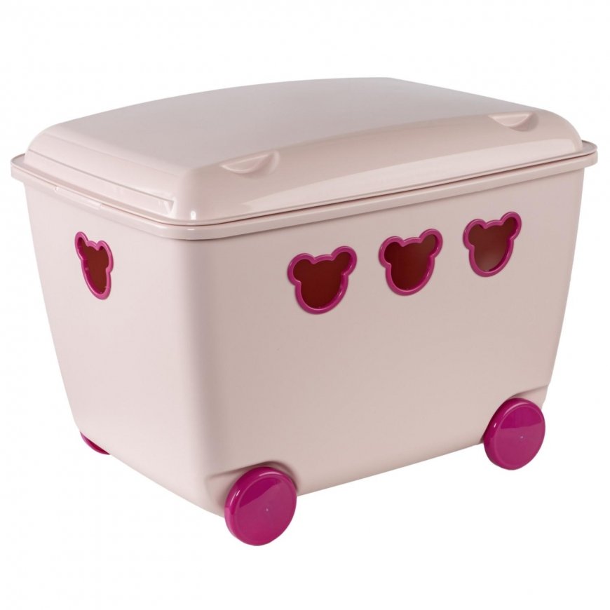 Branq Container for toys 55L BranQ