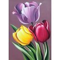 Beldizart Tulpių aromatas 27*38 cm WD021