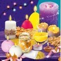 Lisciani Rinkinys mokslinis Im a Genius Candle production Lisciani Rinkinys mokslinis Im a Genius Candle production