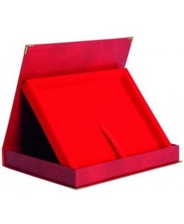 Tryumf Horizontal plastic case red - for boards 230x180