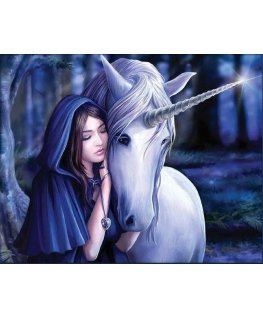 Beldizart Girl and unicorn 50*40 cm AM1964