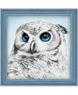 Beldizart Diamond painting kit Owl Sight 25х25 cm AZ-1549