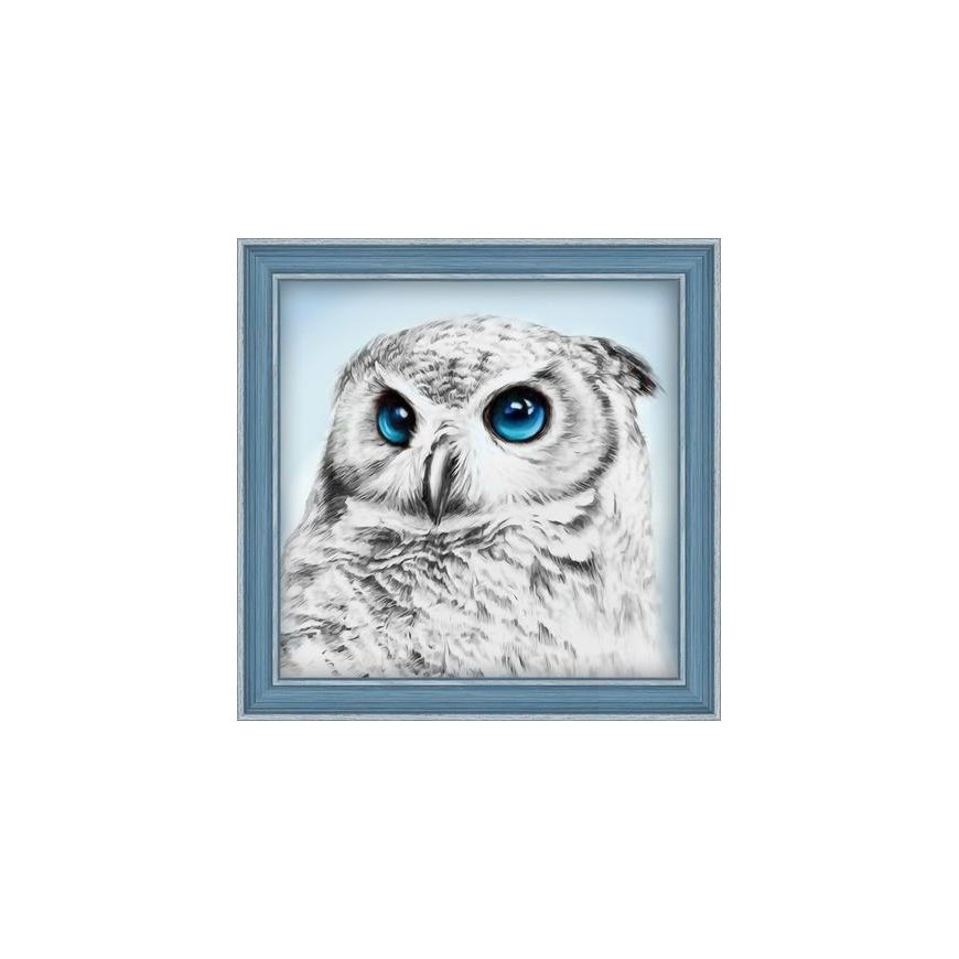 Beldizart Diamond painting kit Owl Sight