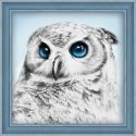 Beldizart Deimantinio dažymo rinkinys Owl Sight 25х25 cm AZ-1549