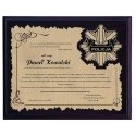 Tryumf Plastic diploma with engraved laminate Tryumf Plastic diploma with engraved laminate