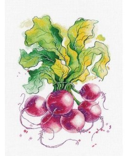 Beldizart Radishes S1481