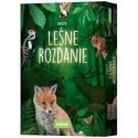 Rebel Gra leśne rozdanie Rebel Gra leśne rozdanie
