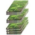 Rebel Forest hand game Rebel Forest hand game