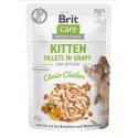 BRIT Care Cat Kitten Choice Pouch - märg kassitoit - 85 g BRIT Care Cat Kitten Choice Pouch - märg kassitoit - 85 g