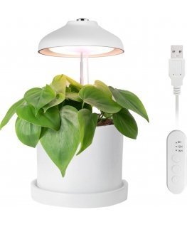 Enne Bijou Grow -kasvivalaisin,USB, 5 W, 240 lm, valkoinen