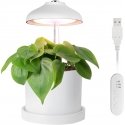 Enne Bijou Grow plant lamp, USB, 5 W, 240 lm, white Enne Bijou Grow plant lamp, USB, 5 W, 240 lm, white