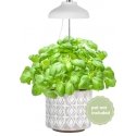 Enne Bijou Grow -kasvivalaisin,USB, 5 W, 240 lm, valkoinen Enne Bijou Grow -kasvivalaisin,USB, 5 W, 240 lm, valkoinen