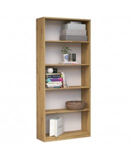 Topeshop R60 ARTISAN office bookcase