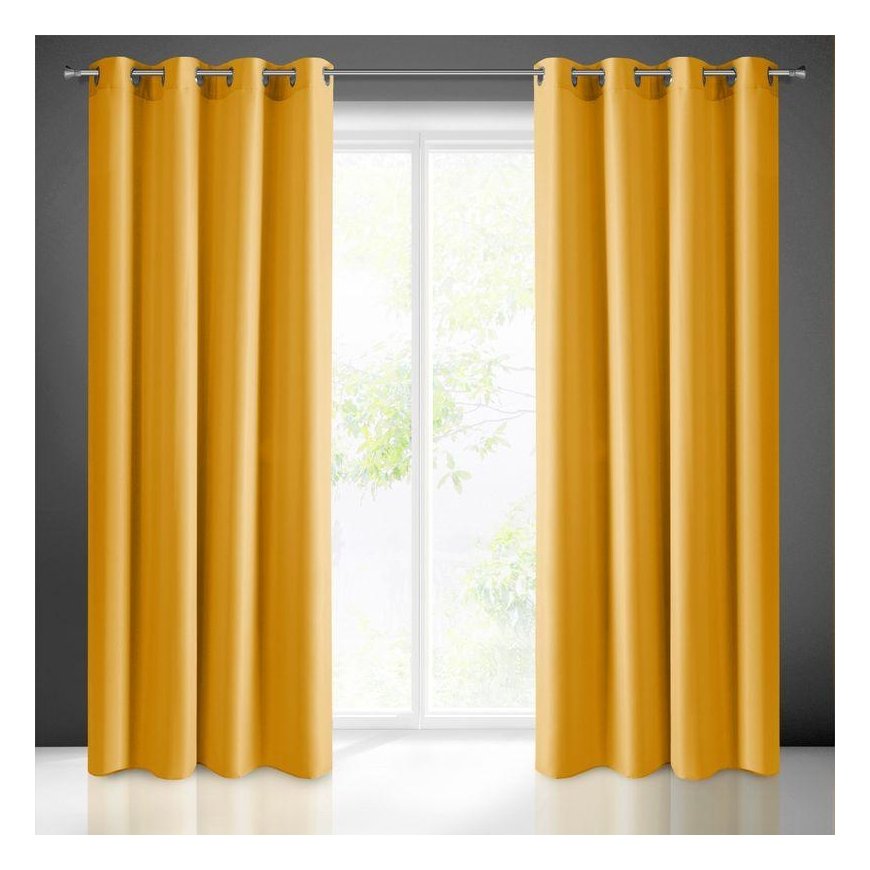 Eurofirany Euro užuolaidos ZAS / RITA / MUSZ 140X250 TRANS