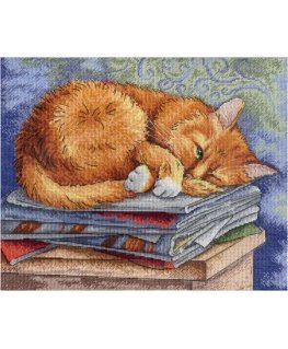 Beldizart Study cat SNV-595