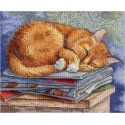 Beldizart Study cat SNV-595 Beldizart Study cat SNV-595