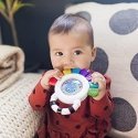 BABY EINSTEIN chewer Sensory, 12487 BABY EINSTEIN chewer Sensory, 12487