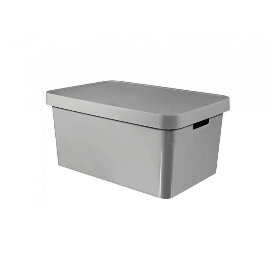 Curver Infinity 45L gray container with