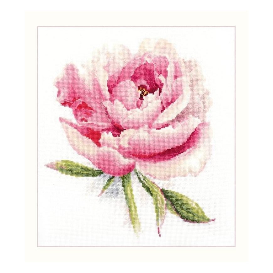 Beldizart Gentle peony S2-47
