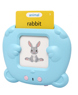 Maxlife MXLD-100 English Learning Device
