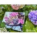 Merejka Embroidery kit SK228 Merejka Embroidery kit SK228