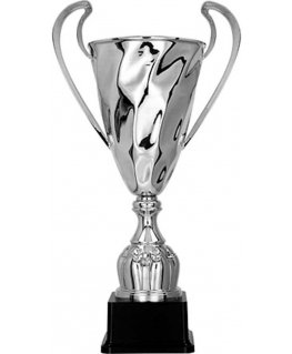 Detail Silver metal cup