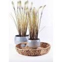 Mondex Artificial flower 12.5xh65cm Mondex Artificial flower 12.5xh65cm