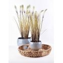 Mondex Artificial flower 12.5xh65cm Mondex Artificial flower 12.5xh65cm