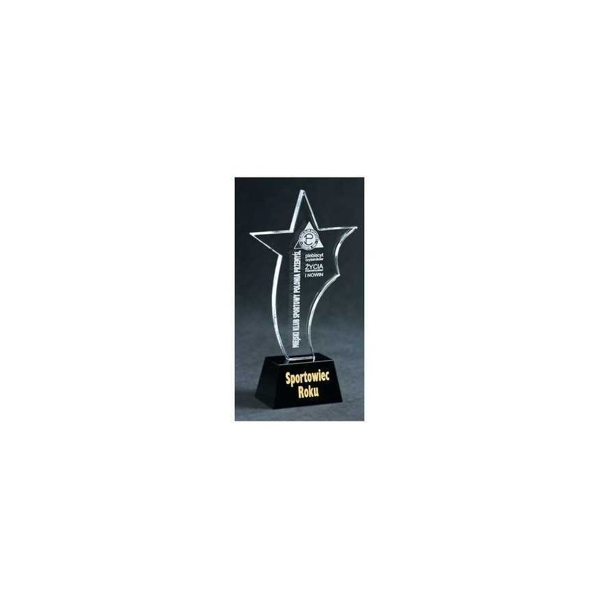 Tryumf Engraved glass trophy + paint filler – 2
