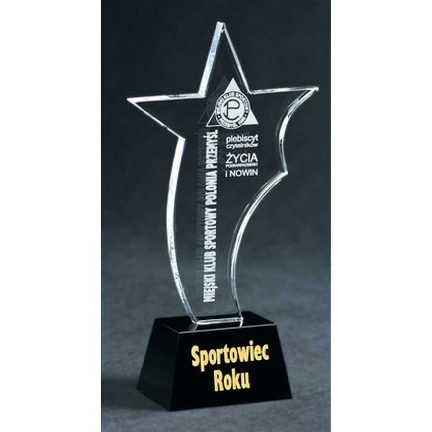 Tryumf Engraved glass trophy + paint filler – 3