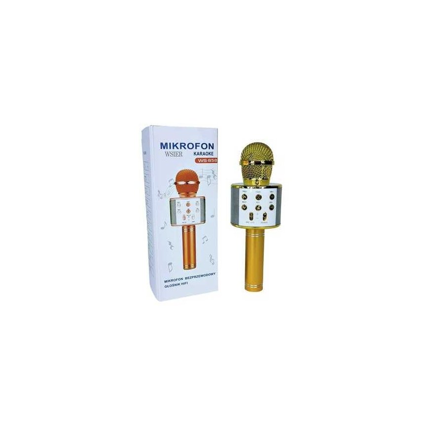 Wk Zabawki Wk Zabawki Microphone W&K