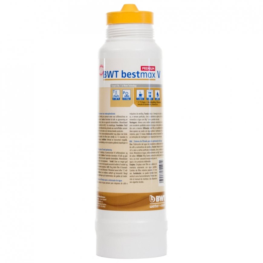 BWT Bestmax V filter cartridge