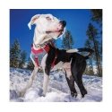 Pets Collection CARRIER FOR THE BREEDER Pets Collection CARRIER FOR THE BREEDER