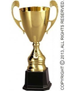 Tryumf Golden metal cup 4104F