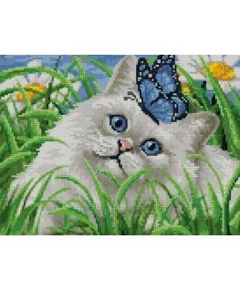 Beldizart Diamond painting with frame "Blue eyes" 30*40 cm VA038