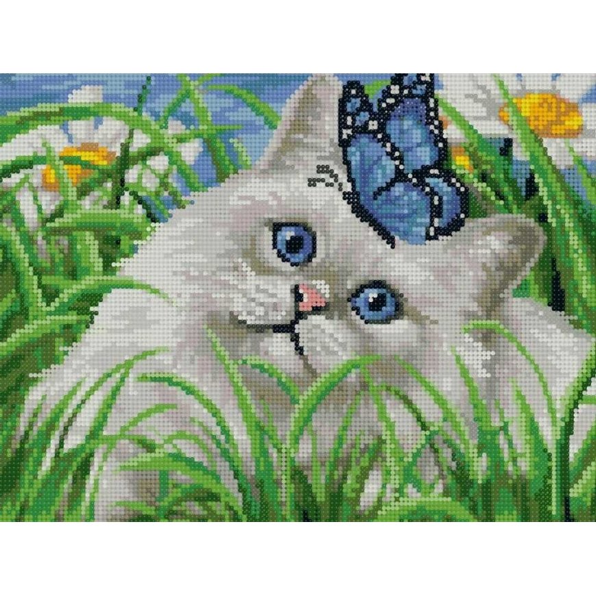 Beldizart Diamond painting with frame "Blue eyes" 30*40 cm VA038