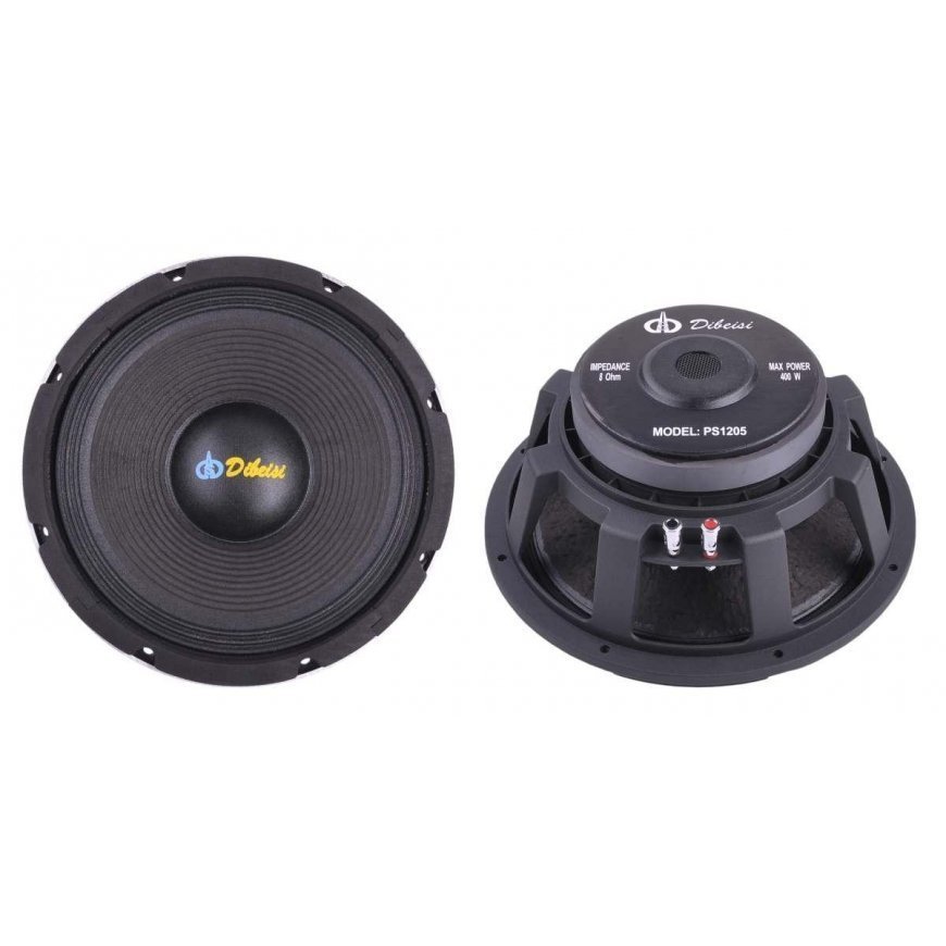 Dibeisi Speaker DBS-PS1205 12 inches -