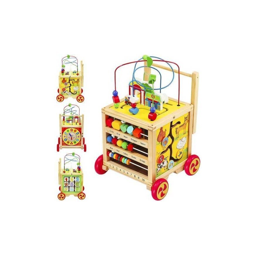 Kruzzel Wooden pusher - Educational cube 22606