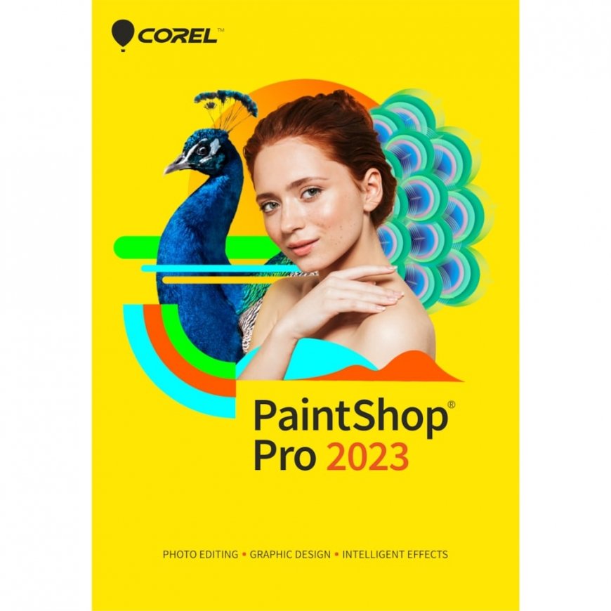 Corel PaintShop Pro 2023 | Download