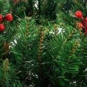 Ruhhy Christmas decoration door wreath decorative decorative ornament 60 cm thickness xxl Ruhhy Christmas decoration door wreath decorative decorative ornament 60 cm thickness xxl