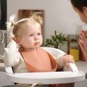 Beaba silicone bib, color: terracotta