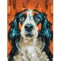 Beldizart Faithful friend 30*40 WD3027 Beldizart Faithful friend 30*40 WD3027