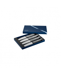 Opinel Table Knives Facette Set of 4 Slate