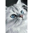 Beldizart Katės akys 20*30 cm WD3003 Beldizart Katės akys 20*30 cm WD3003