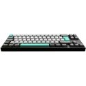 Mechanical keyboard Ducky MIYA Pro Moonlight TKL, PBT, MX Silent Red, DE layout