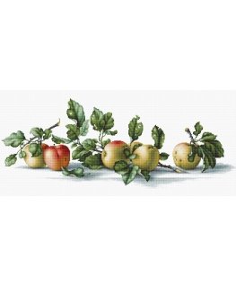 luca S Apples SB2265