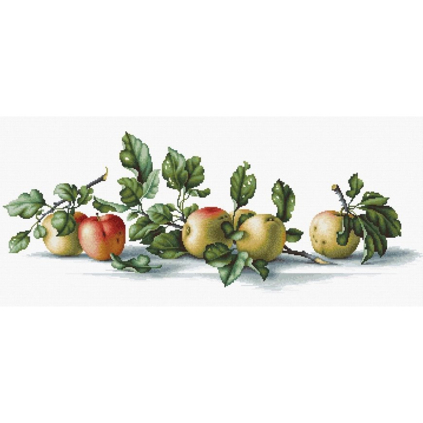 Luca S luca S Apples SB2265