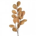 Eurofirany KW/FLORE/733/BEIGE BEIGE Eurofirany KW/FLORE/733/BEIGE BEIGE